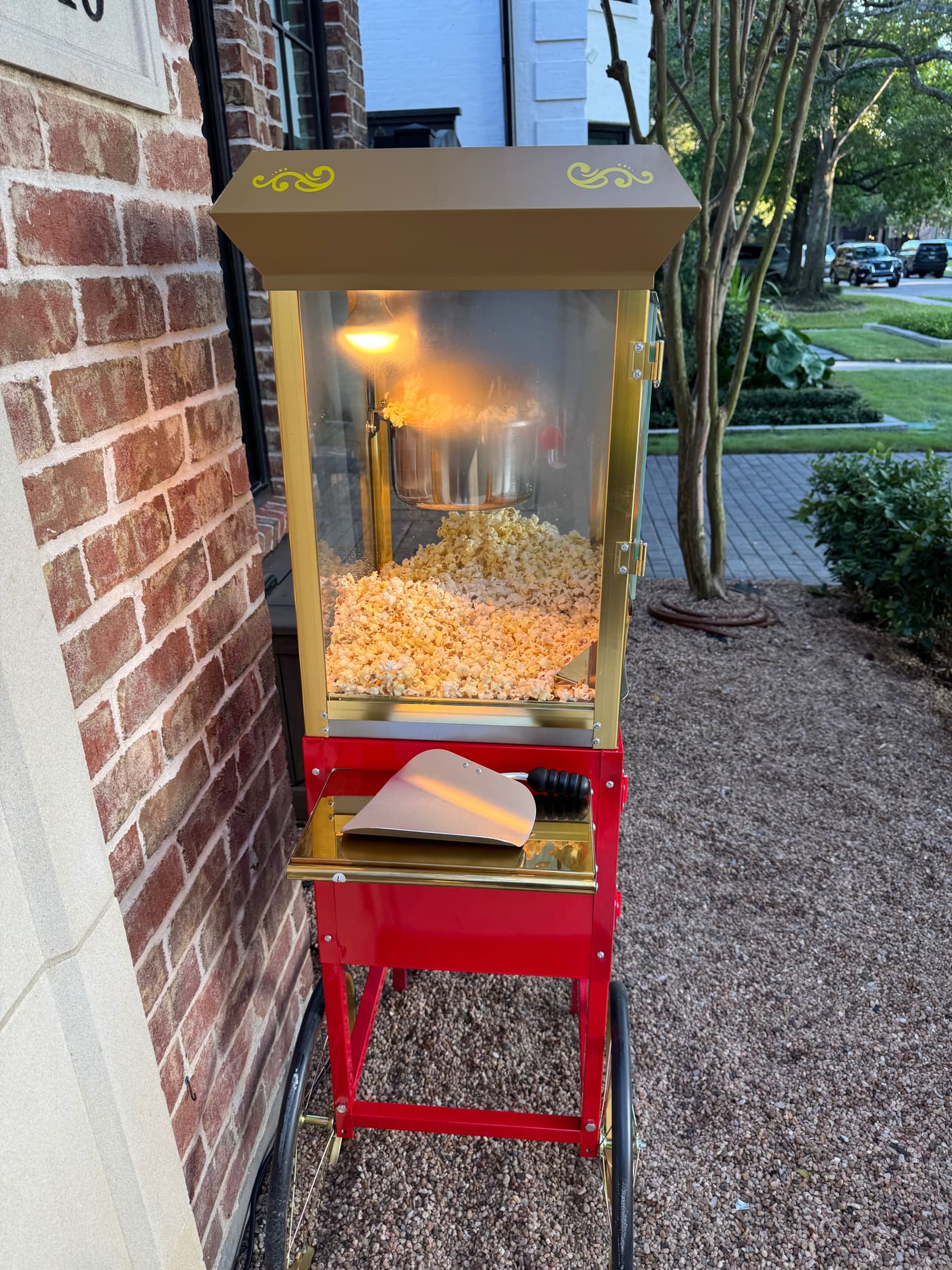 Popcorn cart glowing warm with a fresh batch of popcorn